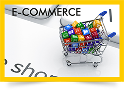 E Commerce Website with Payment Gateway Providers